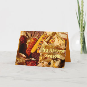 It's Harvest Season, Pretty Autumn Scene Greeting Card