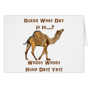 Its Hump Day