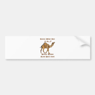 Its Hump Day Bumper Sticker