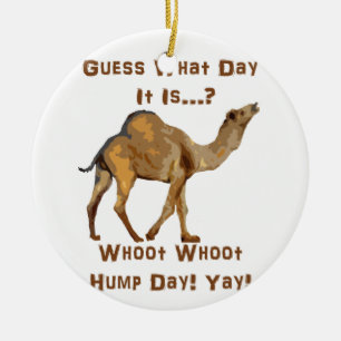 Its Hump Day Ceramic Ornament