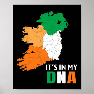 It's In My Dna Ireland Irish Flag Gifts Men Women Poster