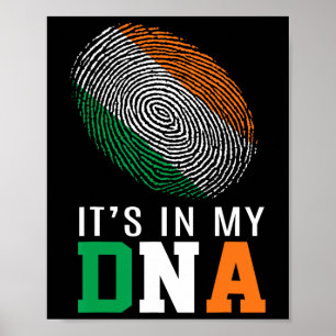It's In My Dna Ireland Irish Flag Gifts Men Women Poster