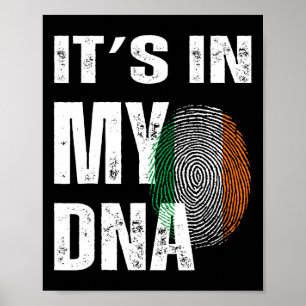 It's In My Dna Ireland Irish Flag Gifts Men Women Poster