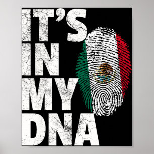 It's In My Dna Mexican Mexico Flag Cinco De Mayo G Poster