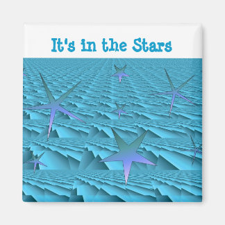 It's in the Stars Magnet