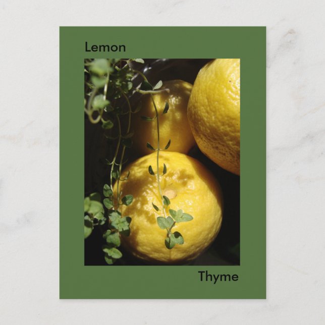 It's Lemon Thyme. Postcard (Front)