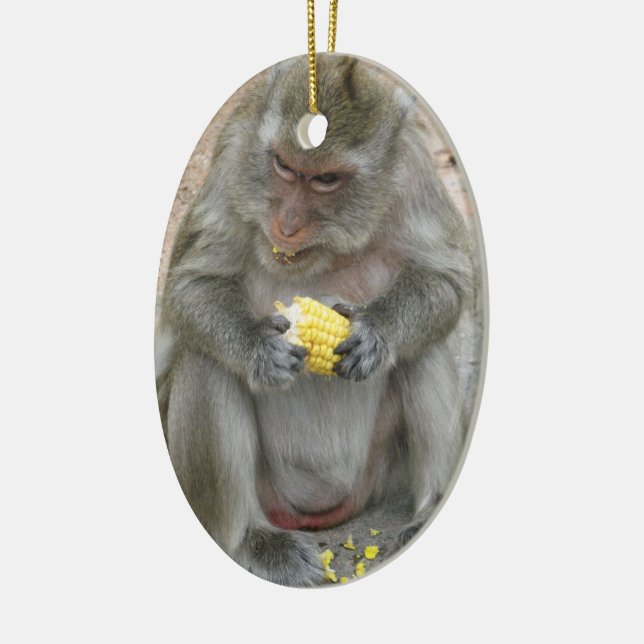 It's Mine!! ... Wild Thai Macaque Monkey Ceramic Ornament (Left)