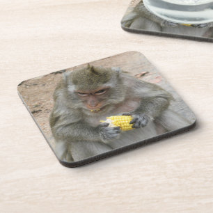 It's Mine!! ... Wild Thai Macaque Monkey Coaster