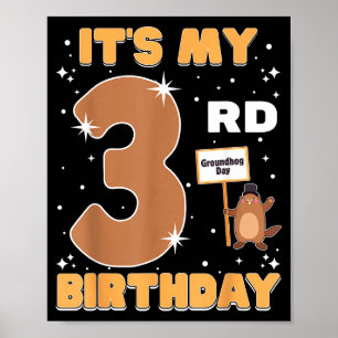 Its My 3rd Birthday Groundhog Day 3 Years Old Girl Poster