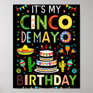 It's My Birthday Cinco De Mayo Party Poster