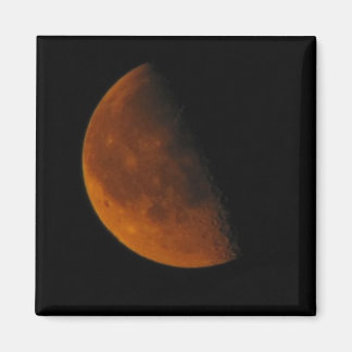 "It's Not Mars...It's Just the Moon" Magnet