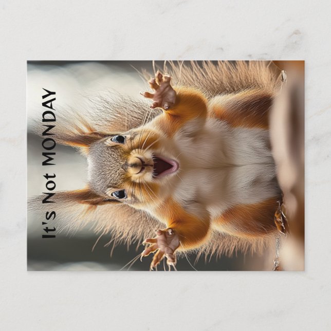 "It's Not Monday" personalized Squirrel Funny Card (Front)