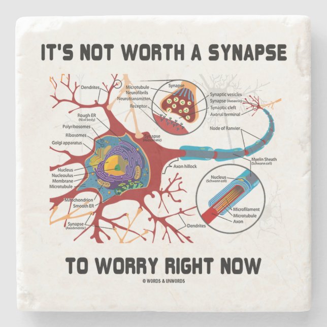 It's Not Worth A Synapse To Worry Right Now Humour Stone Coaster (Front)