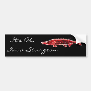 It's Ok, I'm a Sturgeon Bumper Sticker