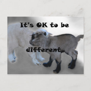 It's Ok to be different Postcard