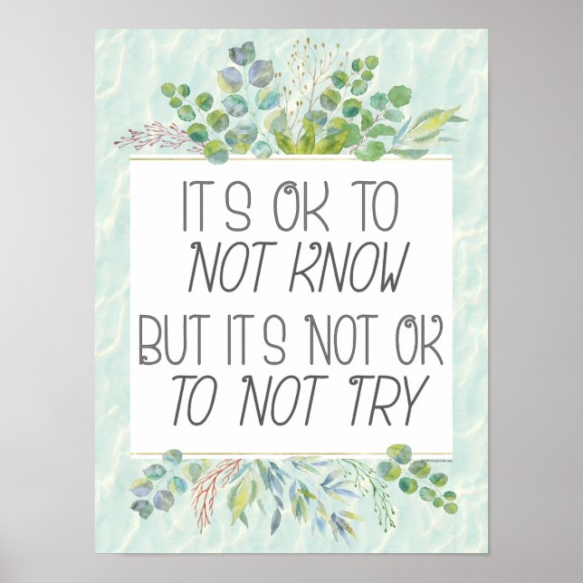 It's Ok to Not Know but it's Not Ok to Not Try Poster (Front)