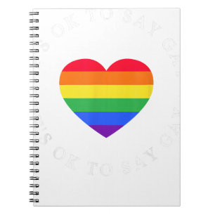 Its Ok To Say Gay Florida LGBTQ Pride Month Ally G Notebook