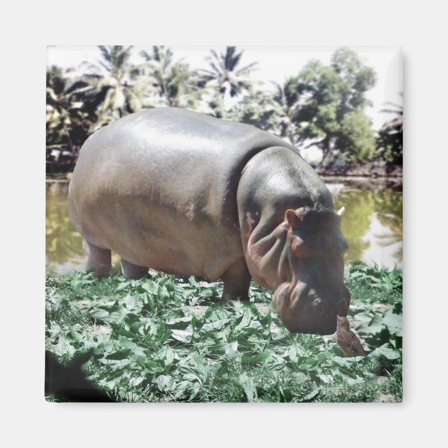 It's okay that we're Different, We Can Work It Out Magnet (Front)