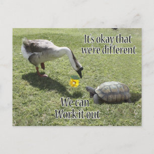 It's okay that we're Different, We Can Work It Out Postcard
