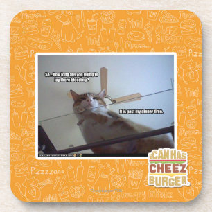 It's past my dinner time coaster