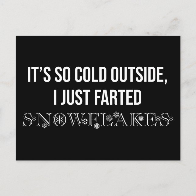 It's So Cold Outside I Just Farted Snowflakes Postcard (Front)