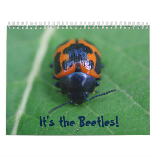 It's the Beetles! Insect Calendar