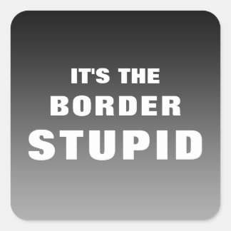 It's The Border Stupid Square Sticker