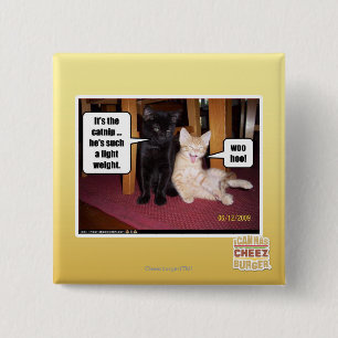 It's the catnip 2 inch square button