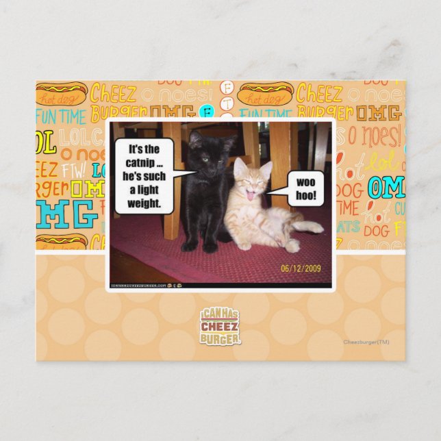 It's the catnip postcard (Front)