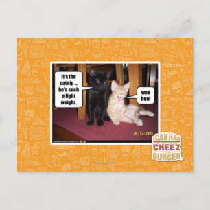 It's the catnip postcard