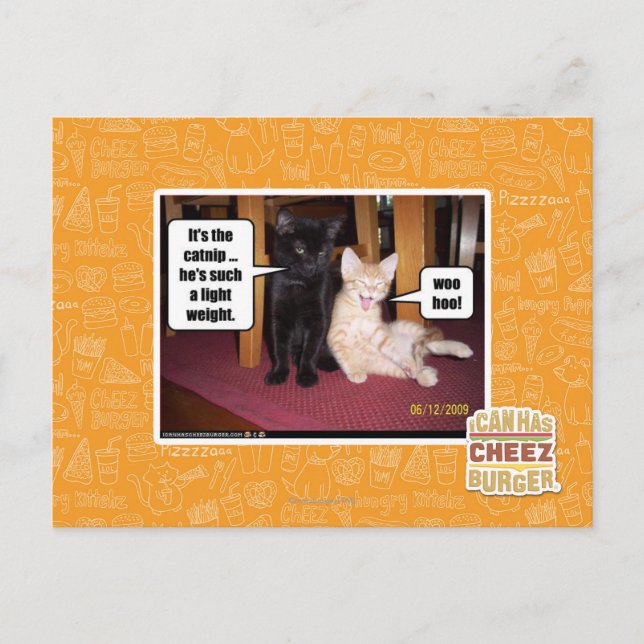 It's the catnip postcard (Front)