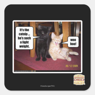 It's the catnip square sticker