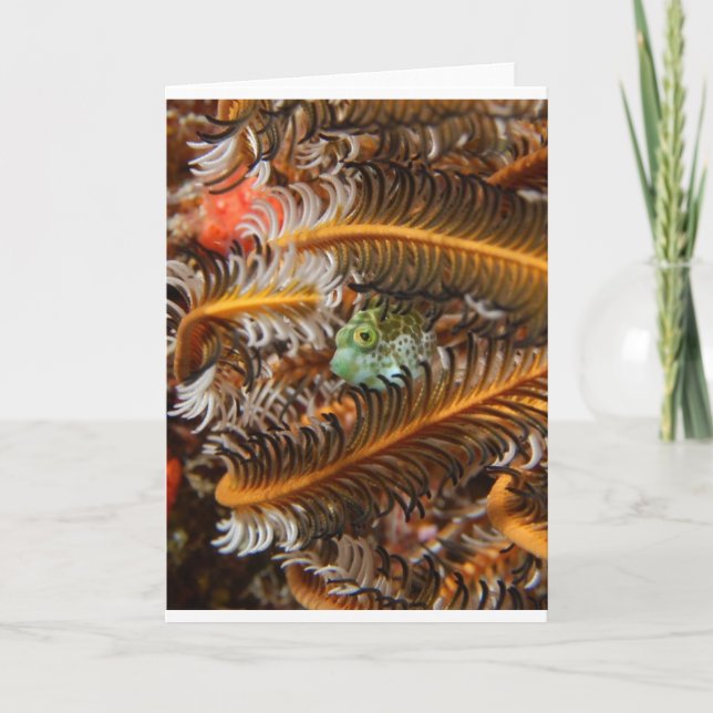 It's the Small Things... Card (Front)