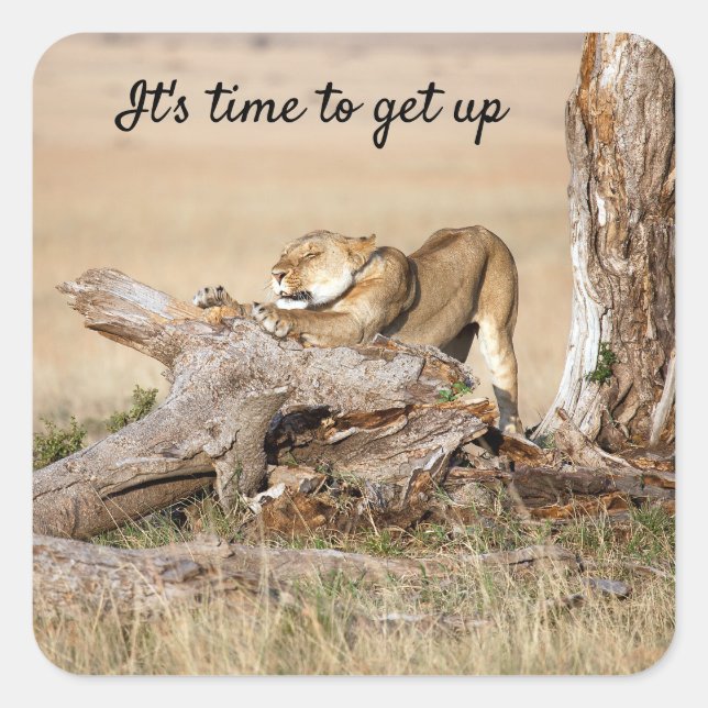 It's time to get up Lion photo with text Square Sticker (Front)