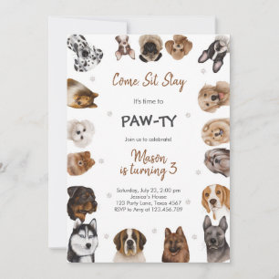 It's Time to Paw-ty Party Animals Kids Birthday Invitation