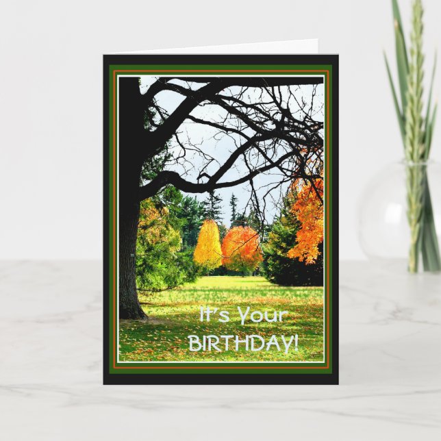 It's Your Birthday... Card (Front)