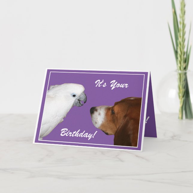 It's Your Birthday Card (Front)