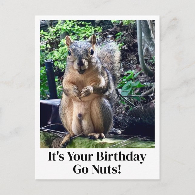 It's Your Birthday Go Nuts Funny Squirrel Joke Postcard (Front)