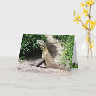 It's Your Birthday - Walk on the Wild Side Komodo Card