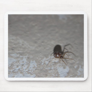 Itsy Bitsy Spider Mouse Pad