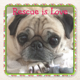 Itsy Pug cardboard drink coaster: Rescue is Love Square Paper Coaster