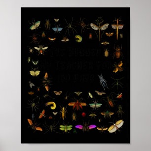 I've Bugged My Teacher 100 Days Of School Kids Boy Poster