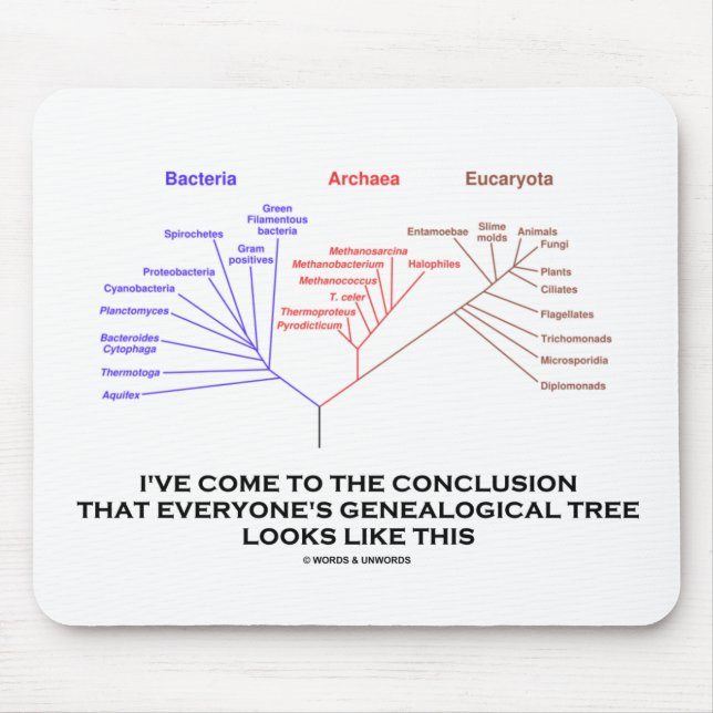 I've Come To The Conclusion Genealogical Tree Mouse Pad (Front)