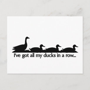 I've got all my ducks in a row... postcard