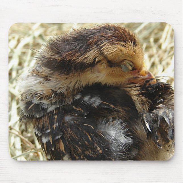 I've Got An Itch, Adorable Baby Chicken Mouse Pad (Front)
