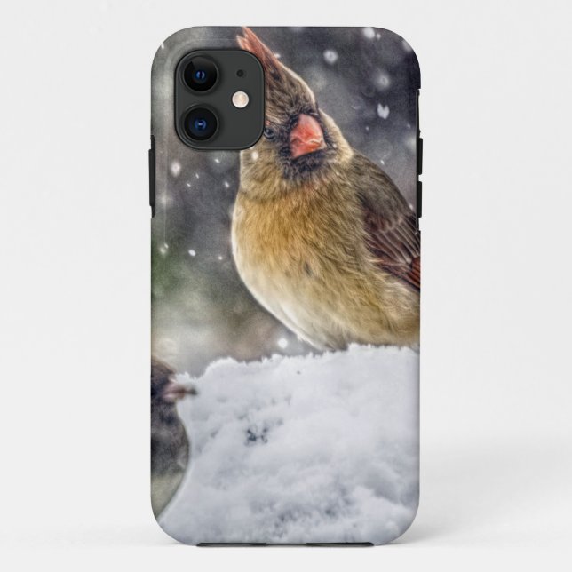 I've Got my Eye on You Case-Mate iPhone Case (Back)