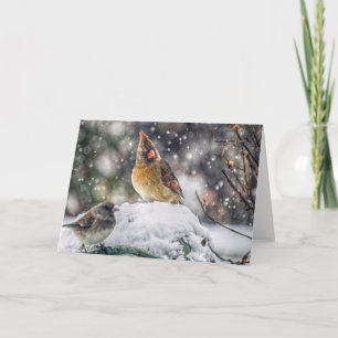 I've Got my Eye on You Holiday Card