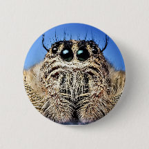 I've got my eyes on you!