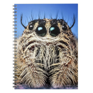 I've got my eyes on you! notebook