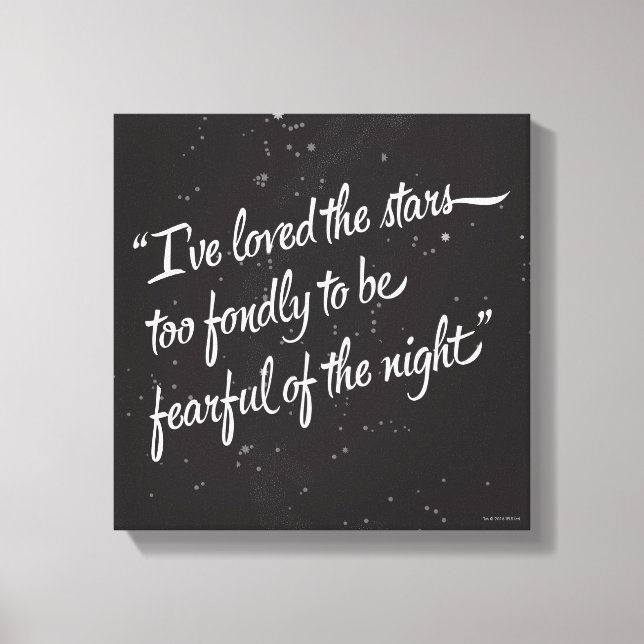 I've Loved The Stars Canvas Print (Front)